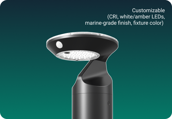 customizable finish solar lighting